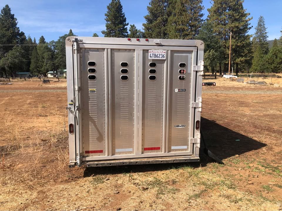 2022 Wilson Roper Horse Trailer - Image 3