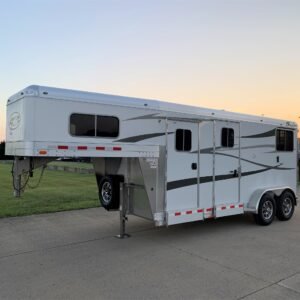 4 star runabout for sale