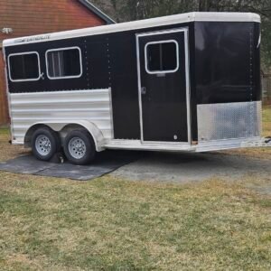 Lightweight aluminum 2 horse slant load bumper pull