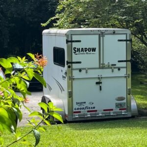 Used Shadow Stablemate Aluminum 2 horse trailer for sale